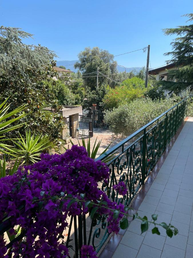Agriturismo Al Gallo Verde Altavilla Silentina Exteriér fotografie